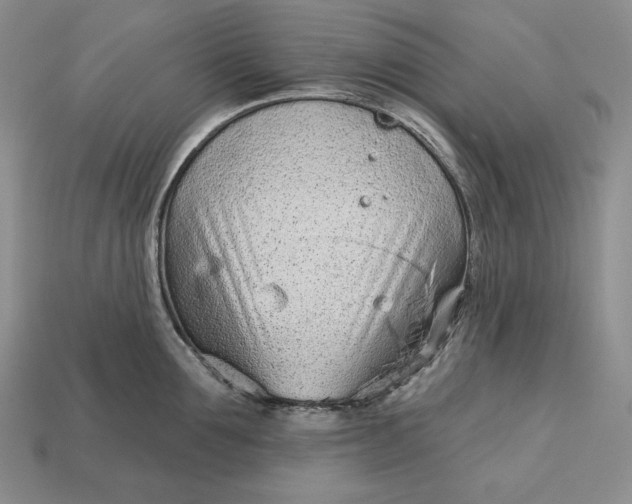 X0000113160907200909181809