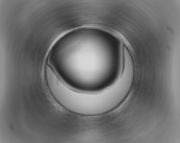 X0000113160908200909181809