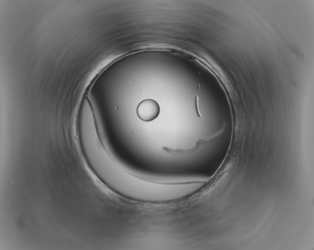 X0000113160909200909181809