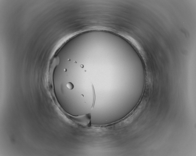 X0000113160910200909181809