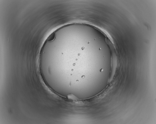 X0000113160911200909181809