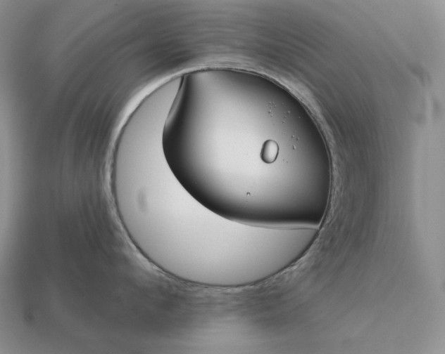 X0000113160912200909181809