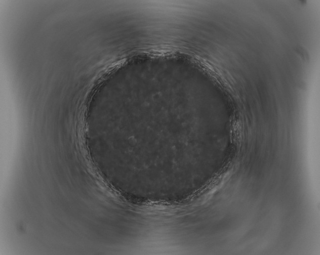 X0000113160913200909181808