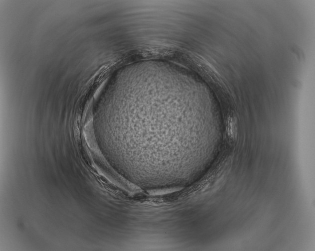 X0000113160915200909181808