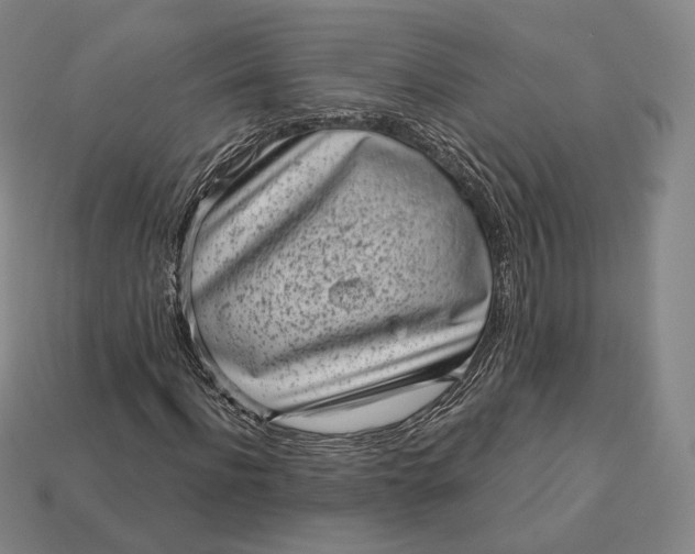 X0000113160916200909181808