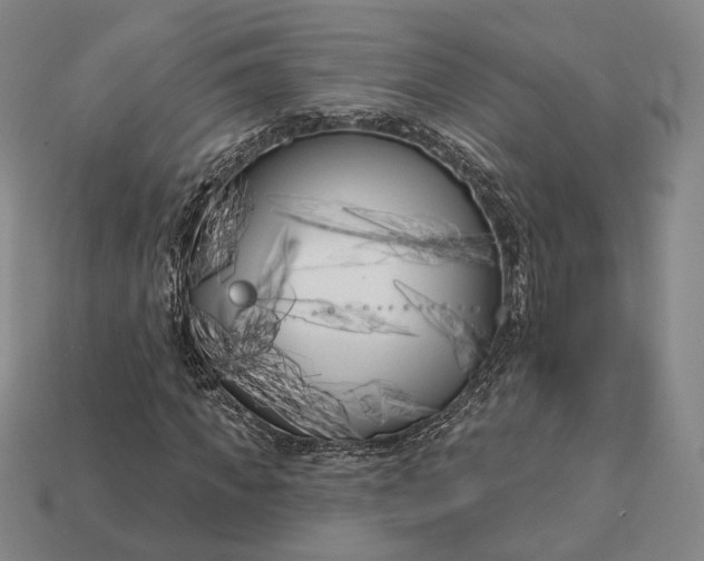 X0000113160917200909181808