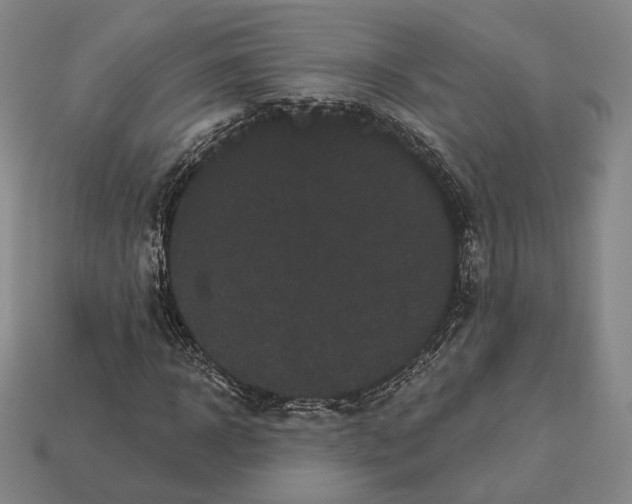 X0000113160918200909181808