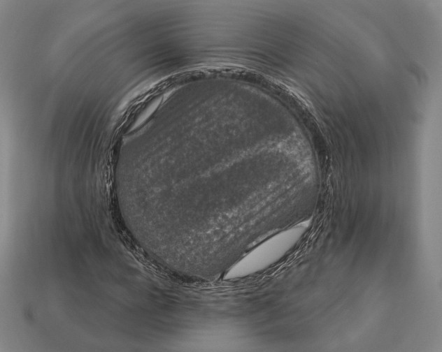 X0000113160920200909181808