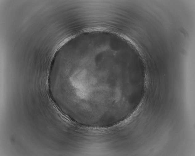 X0000113160921200909181808