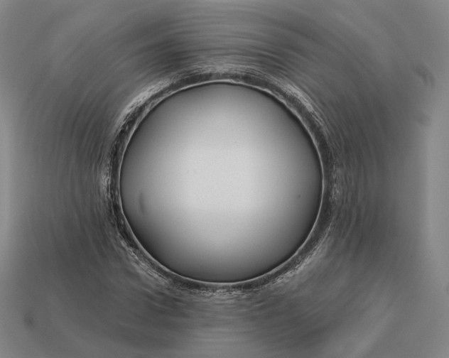 X0000113160922200909181808