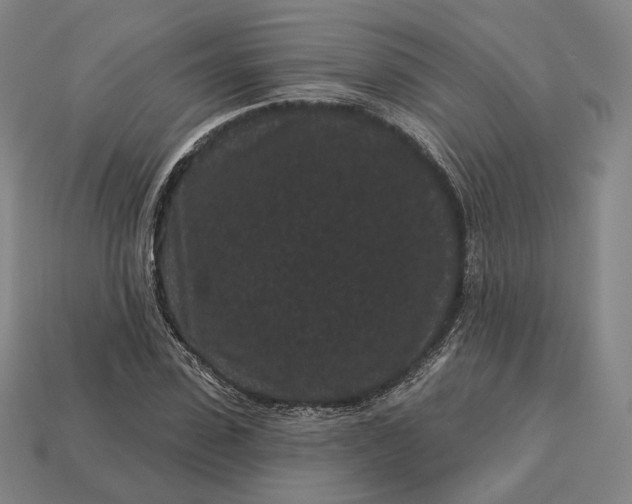 X0000113160923200909181808