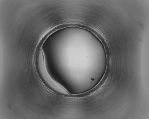 X0000113160925200909181808