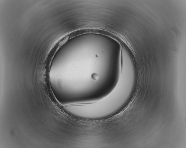 X0000113160926200909181808