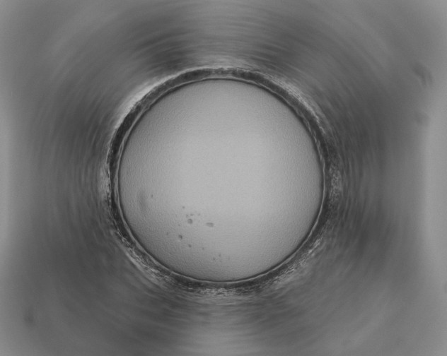 X0000113160927200909181808