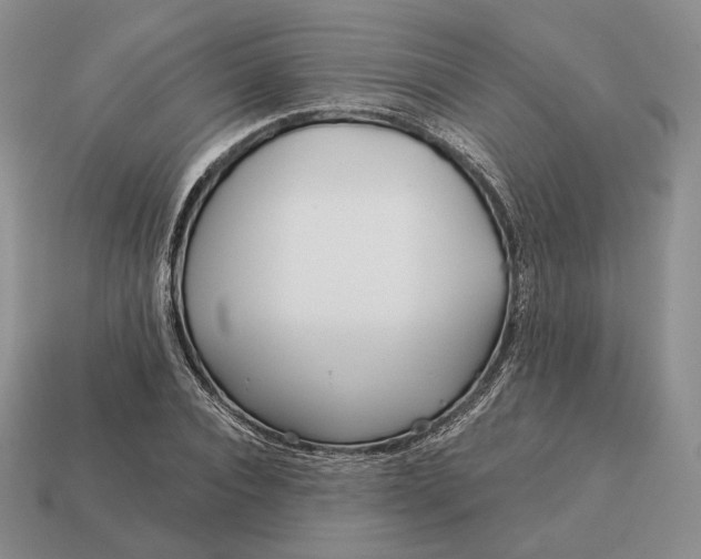 X0000113160928200909181808