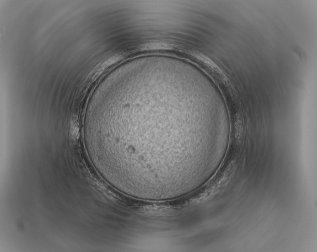 X0000113160929200909181808