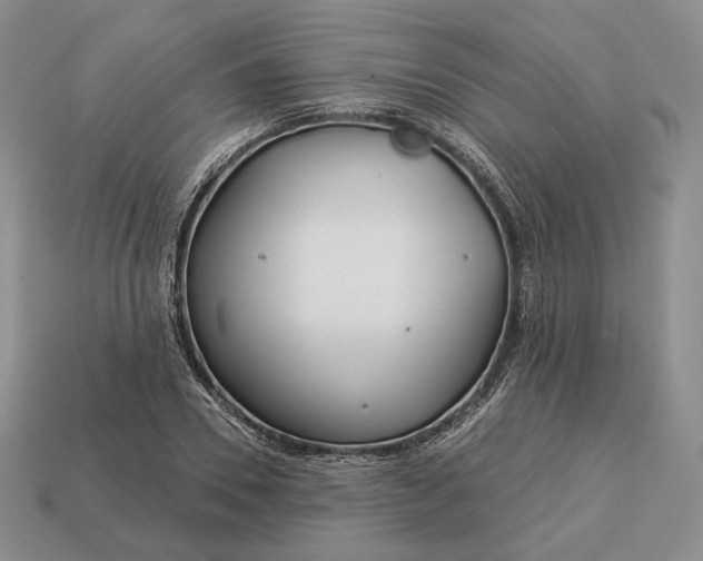 X0000113160930200909181808