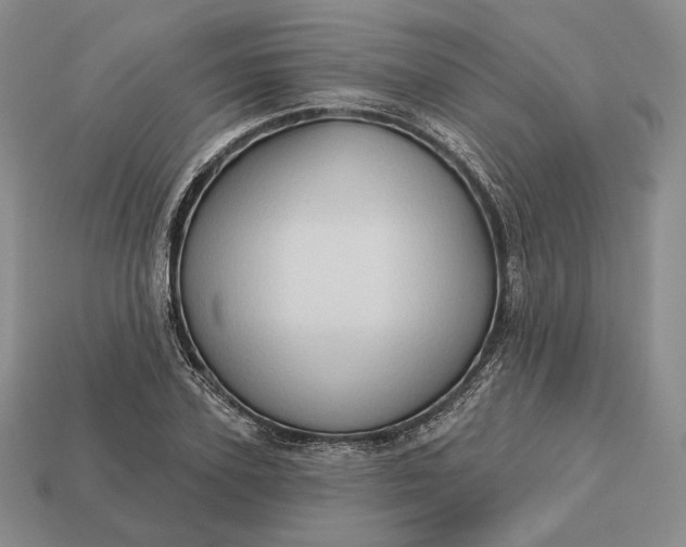 X0000113160931200909181808