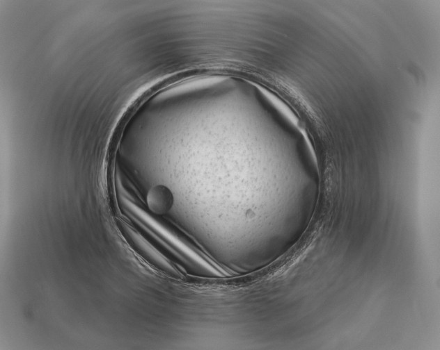 X0000113160932200909181808