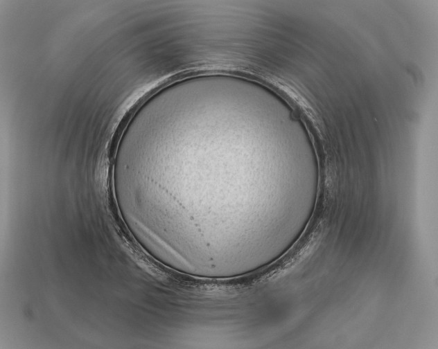 X0000113160933200909181808