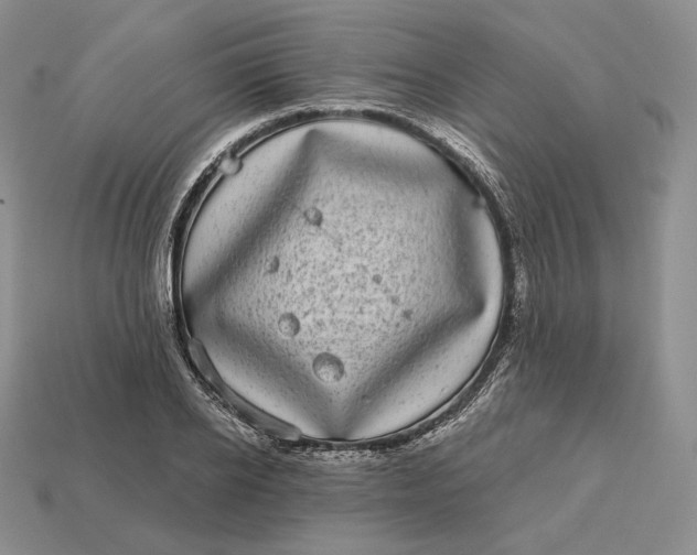 X0000113160934200909181808