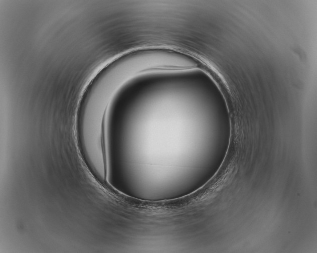 X0000113160935200909181808