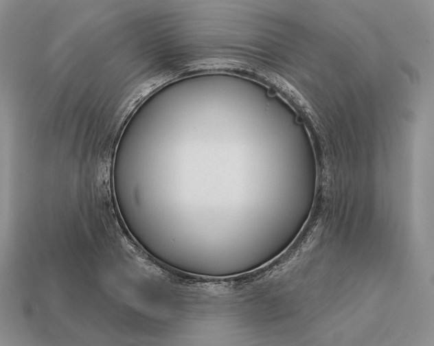 X0000113160937200909181808