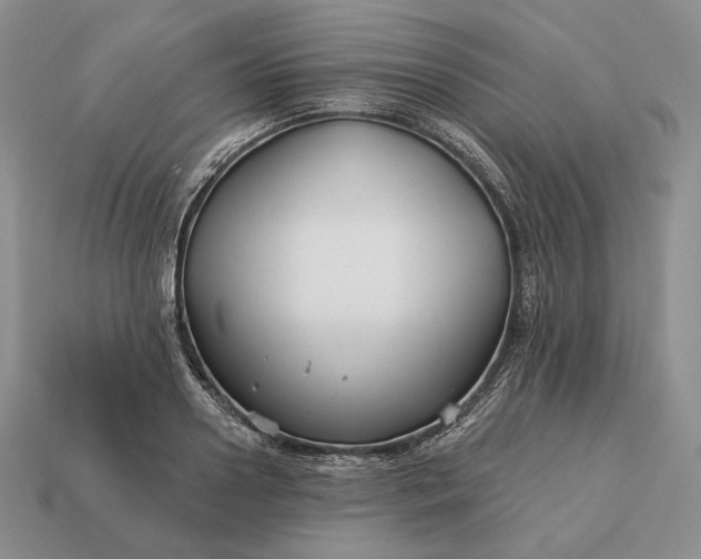 X0000113160938200909181808