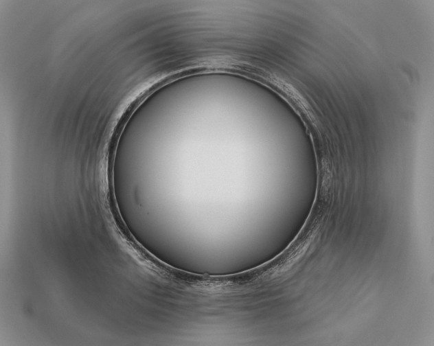 X0000113160939200909181808