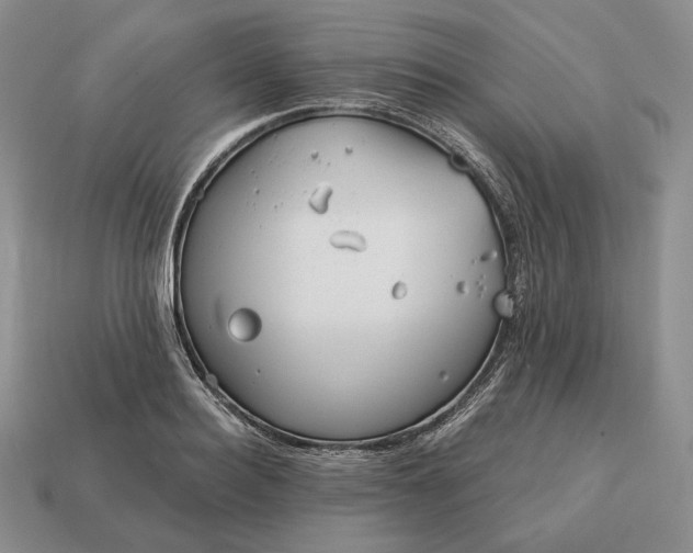 X0000113160940200909181809