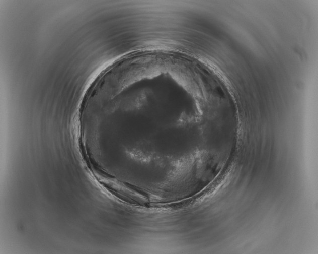 X0000113160941200909181809