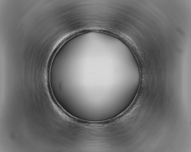 X0000113160942200909181809