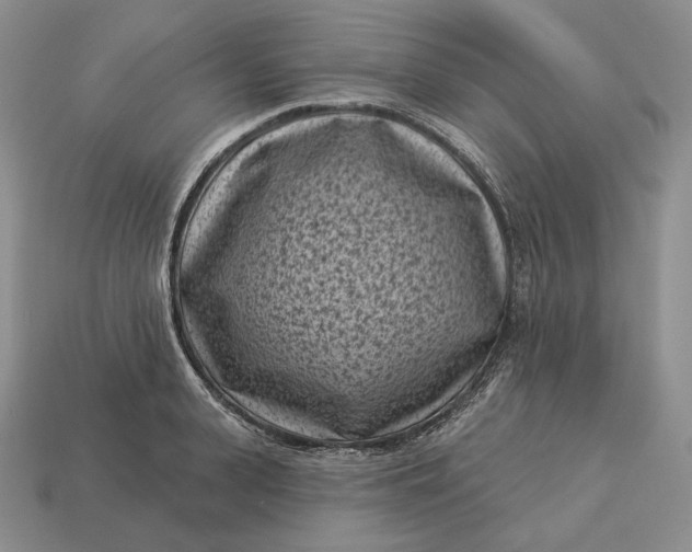 X0000113160943200909181809