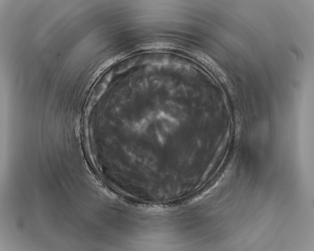 X0000113160945200909181809