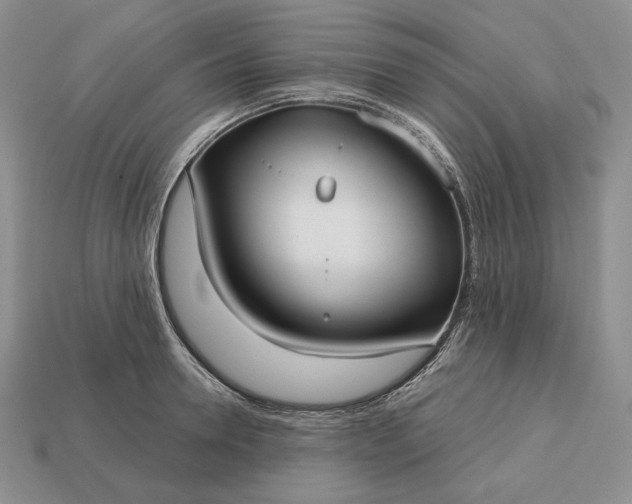 X0000113160946200909181809