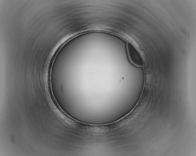 X0000113160947200909181809