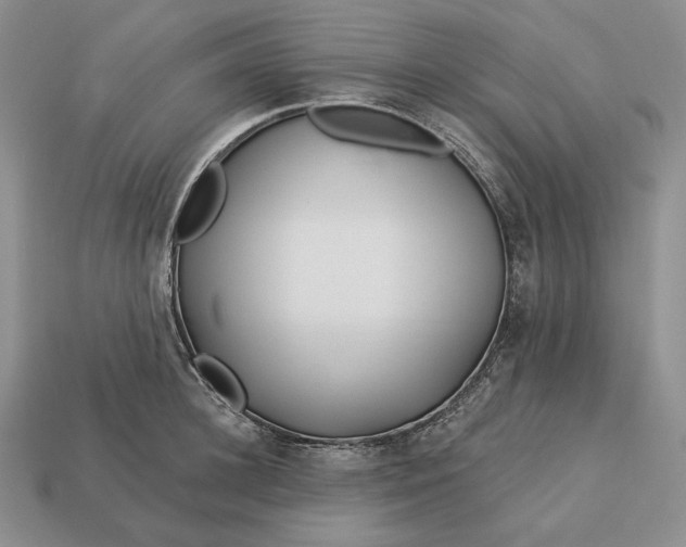 X0000113160948200909181809