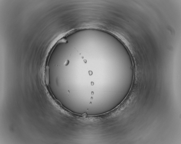 X0000113160949200909181809