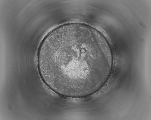 X0000113160950200909181809