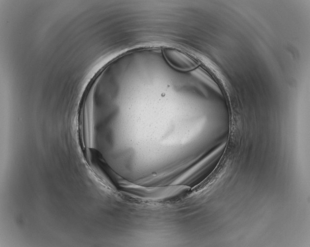 X0000113160951200909181809