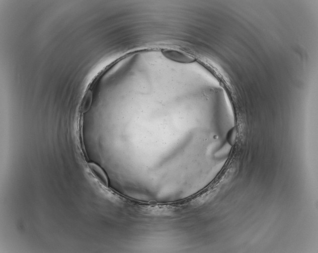 X0000113160952200909181809