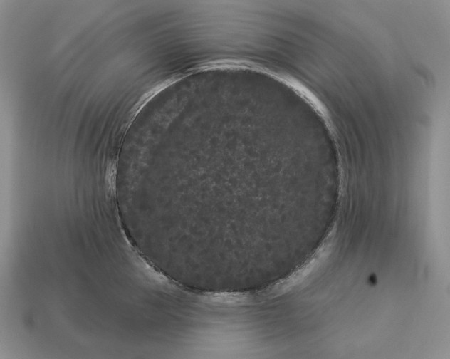 X0000113160953200909181809