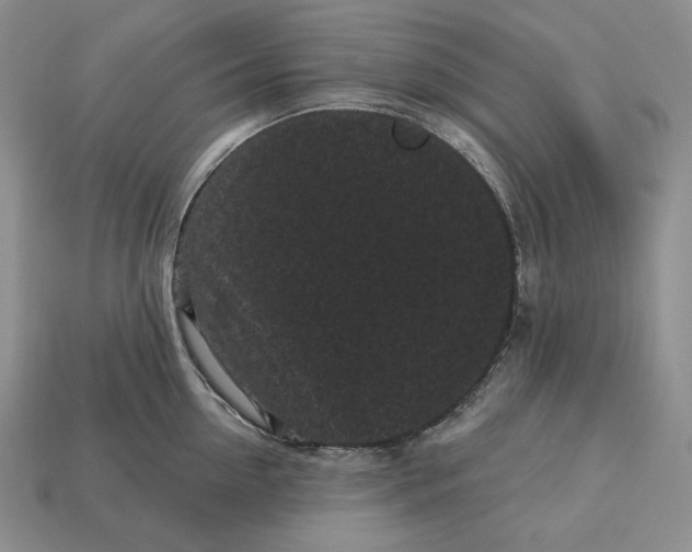 X0000113160954200909181809