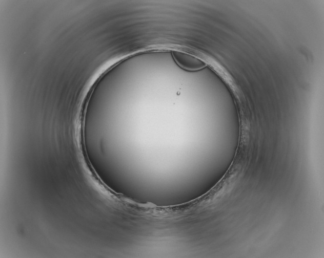 X0000113160955200909181809