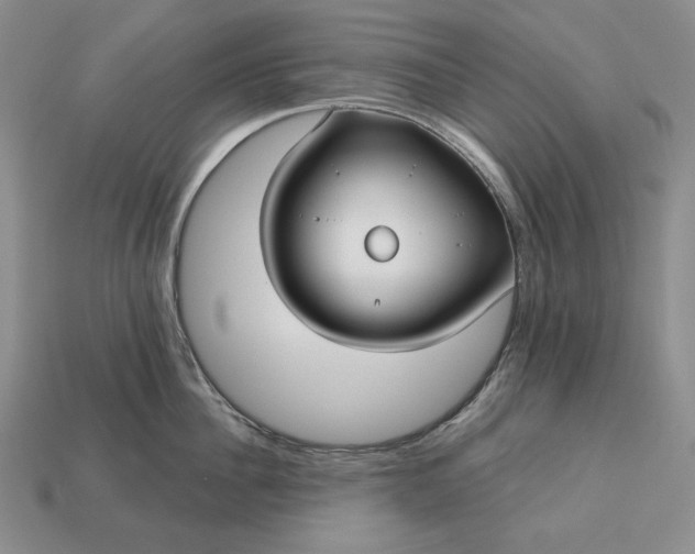 X0000113160956200909181809