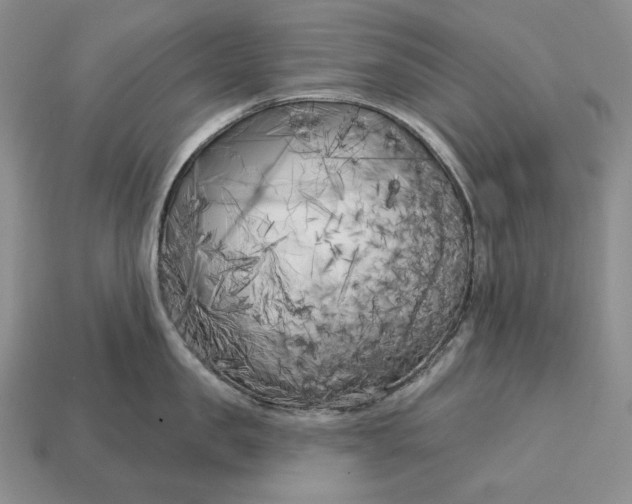 X0000113160957200909181809