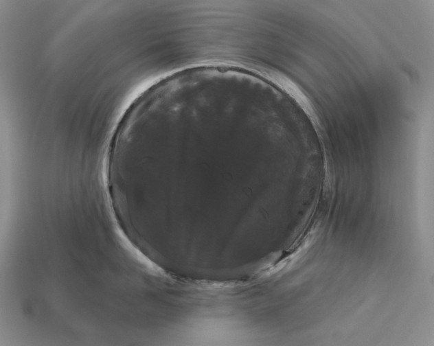 X0000113160958200909181809