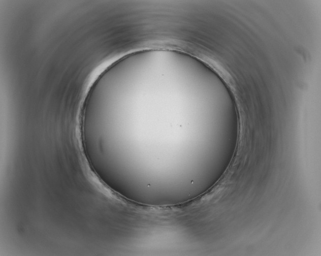 X0000113160960200909181809