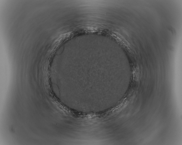 X0000113160961200909181808