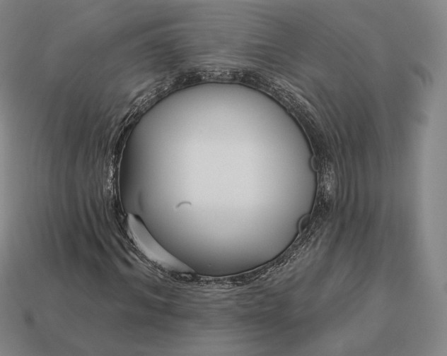 X0000113160964200909181808